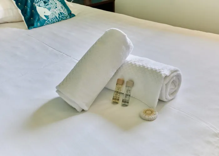 Appartement Bleu Turquoise - Welkeys